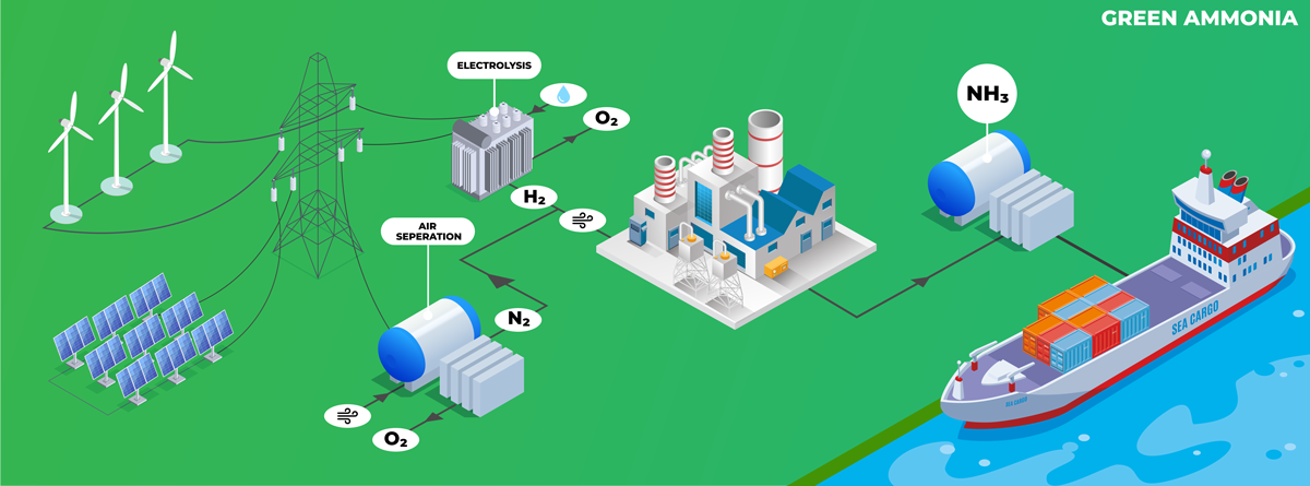 Green Ammonia Synthesis Process