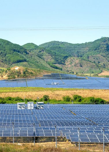 154 MW Utility Solar Facility